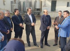 بازدید دکتر مسچیان فرماندار لاهیجان  به همراه برخی روسات ادارات از کارخانه تولیدی لبنیاتی ماسو + گزارش تصویری