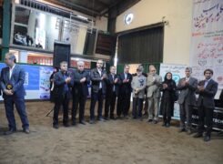 بیستمین جشنواره ملی زیبایی اسب کاسپین در منطقه آزاد انزلی برگزار شد. + گزارش تصویری