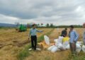 بازدیدهای میدانی و نظارتی بازرسان تنظیم بازار مدیریت جهادکشاورزی شهرستان لاهیجان از عملیات برداشت برنج+ تصاویر بازدیدهای میدانی و نظارتی بازرسان تنظیم بازار مدیریت جهادکشاورزی شهرستان لاهیجان از عملیات برداشت برنج+ تصاویر